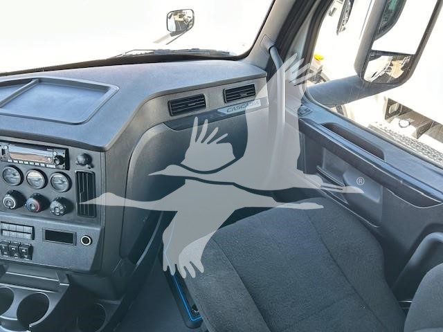 2023 FREIGHTLINER CASCADIA 126 9011261842