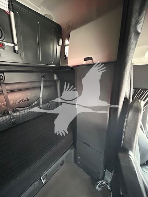 2024 FREIGHTLINER CASCADIA 126 10001316741