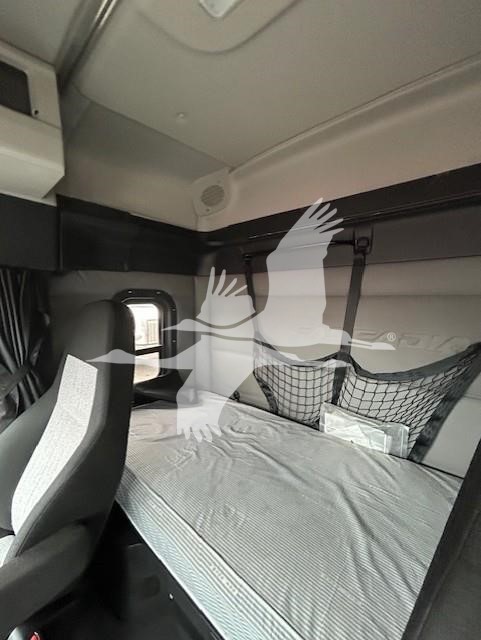 2020 FREIGHTLINER CASCADIA 116 10003634159