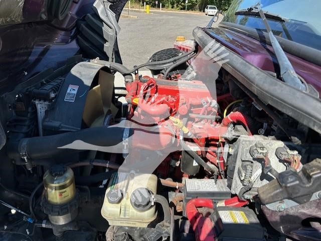 2019 FREIGHTLINER BUSINESS CLASS M2 106 10007597864