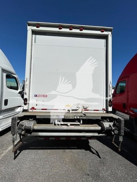 2019 FREIGHTLINER BUSINESS CLASS M2 106 10007597950