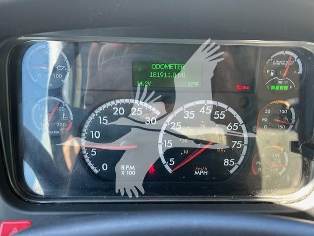 2019 FREIGHTLINER BUSINESS CLASS M2 106 10007772886