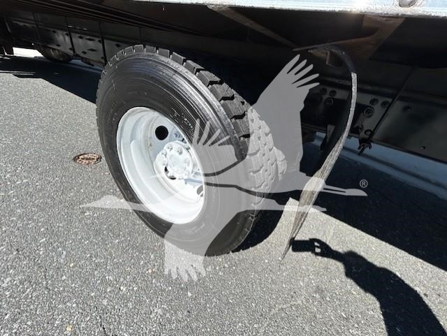 2019 FREIGHTLINER BUSINESS CLASS M2 106 10007773018