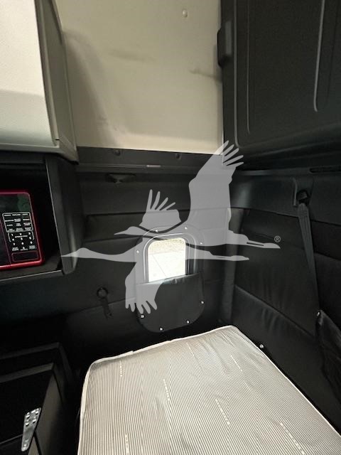 2025 FREIGHTLINER CASCADIA 126 10010860710