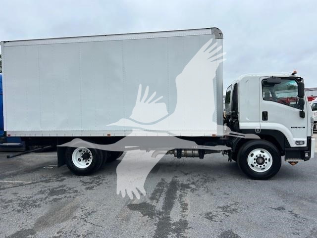 2024 ISUZU FTR 10004237526