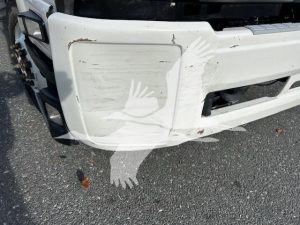 2023 ISUZU FTR 10023928053