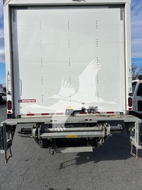 2023 ISUZU FTR 10023928150