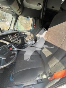 2024 FREIGHTLINER CASCADIA 126 10028494363