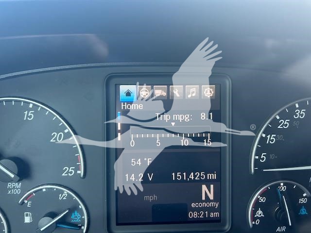 2024 FREIGHTLINER CASCADIA 126 10028494763