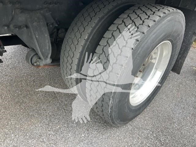 2019 FREIGHTLINER BUSINESS CLASS M2 106 10028509698