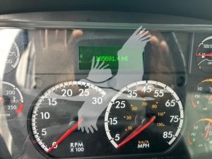 2019 FREIGHTLINER BUSINESS CLASS M2 106 10028516925