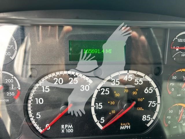 2019 FREIGHTLINER BUSINESS CLASS M2 106 10028516925