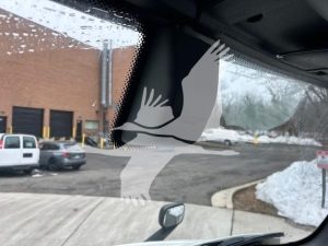 2019 FREIGHTLINER CASCADIA 126 11005539430