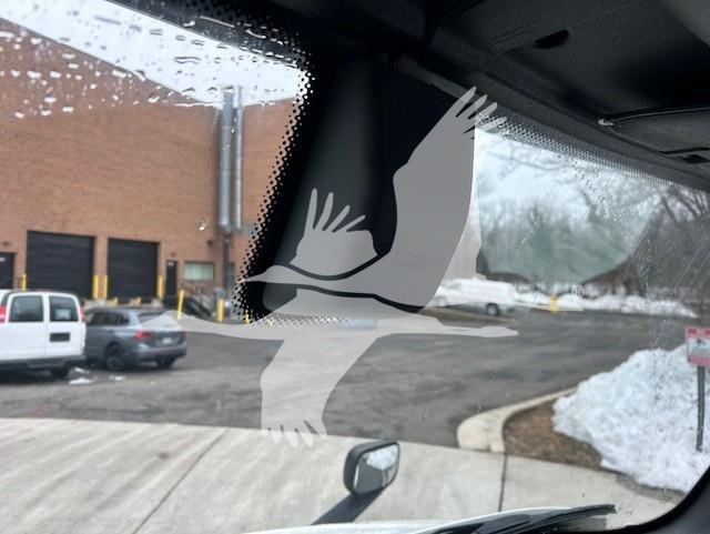 2019 FREIGHTLINER CASCADIA 126 11005539430