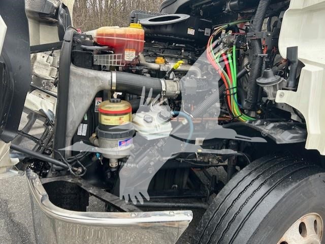 2019 FREIGHTLINER CASCADIA 126 11005539439