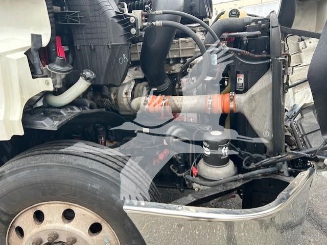 2019 FREIGHTLINER CASCADIA 126 11005539444