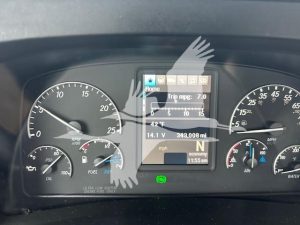 2019 FREIGHTLINER CASCADIA 126 11005539447