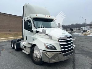 2019 FREIGHTLINER CASCADIA 126 11005539453