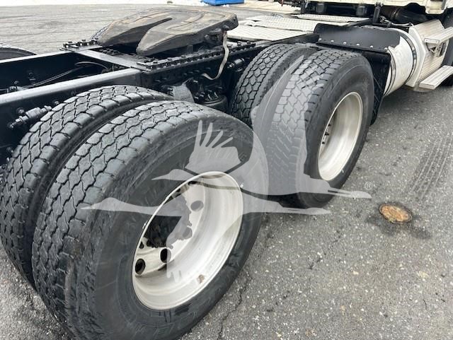 2019 FREIGHTLINER CASCADIA 126 11005539467