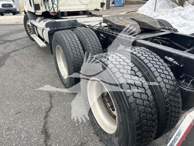 2019 FREIGHTLINER CASCADIA 126 11005539471
