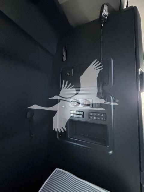 2025 FREIGHTLINER CASCADIA 126 11006829047