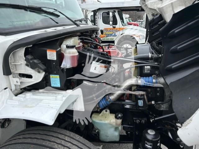 2019 FREIGHTLINER BUSINESS CLASS M2 106 10028509436