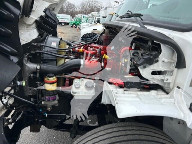 2019 FREIGHTLINER BUSINESS CLASS M2 106 10028509465