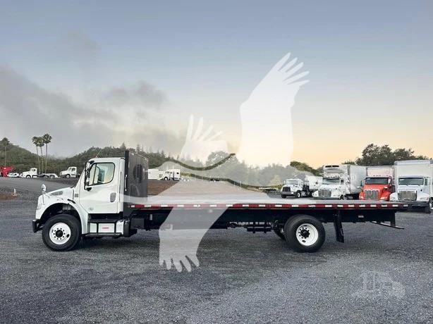 2019 FREIGHTLINER BUSINESS CLASS M2 106 11023706655